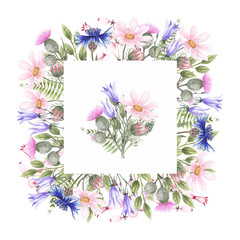 Square watercolor frame of wildflowers: chamomile, cornflower, bell, thistle and green grass.  The illustration is drawn in watercolor by hand. Design for textile, fabric, packaging, postcards