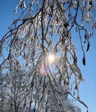 Snow Crystals