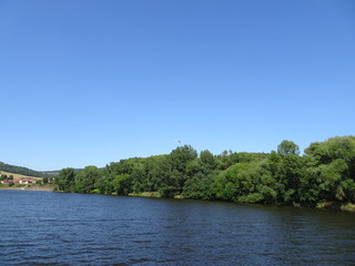 landscape with river and trees