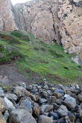 Rock cliff on ocean coast. the view from the down