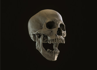Human skull on Rich Colors a Dark Isolated Background. The concept of death, horror. A symbol of spooky Halloween. 3d rendering illustration.