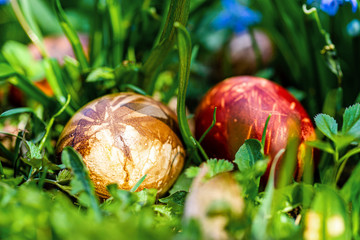 Multicolored easter eggs in green grass. Easter concept