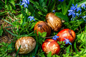 Multicolored easter eggs in green grass. Easter concept