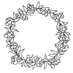 Botanical floral circular frame. Vector hand drawn linear black and white illustration. Circle of berries. Flower graphis tattoo