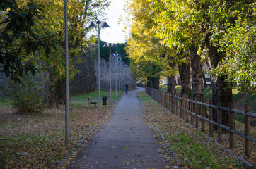 woman walking on a pathway at fall time