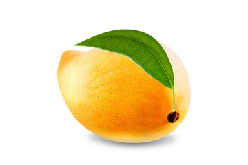 Ripe Thai mango fruit on a white background
