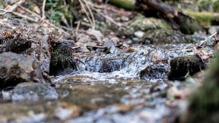 Un ruisseau