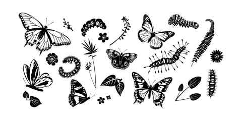 Obraz na płótnie Canvas Set spring and summer butterflies and caterpillars. Black cute silhouettes different shapes on white background. For card, logo, children, pattern, tattoo, decorative, concept. Vector illustration