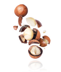 Group of macadamia nuts crushed in the air on a white background