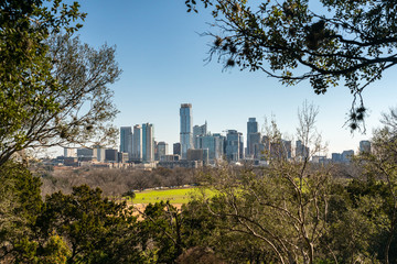 Obraz premium View of the Downtown Buildings From In Between Tree Tops