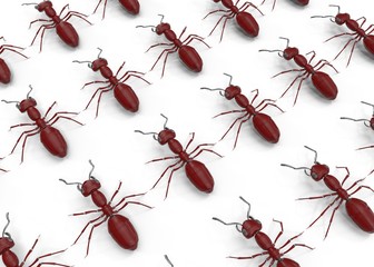 Mechanical ant. 3d Render, vray render+ pbr material  