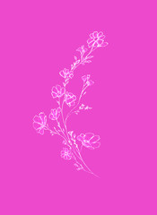 tree branch with flowers and leaves, graphic hand drawn, blossom tree on pink background. Simple pencil art.