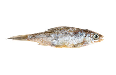 Dry small fish