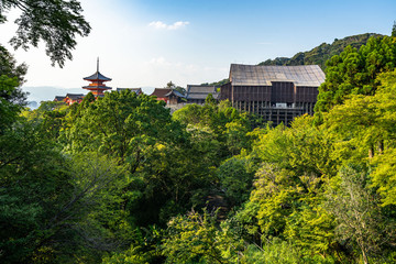 Obraz premium Panoramic view of Kiyomizu-dera temple in Kyoto immersed in a beautiful natural landscape, Japan