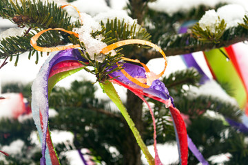 Tree spruce snow decorated colorful ribbons Christmas New Year Shrovetide Maslenitsa holiday concept