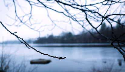 One drop of water hanging on a branch ready to fall into the cold lake during Winter.