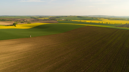 Fototapeta premium Beautiful aerial landscape in Moravia, Czech Republic. Sunrise over rolling hills in Moravia, aerial drone view.