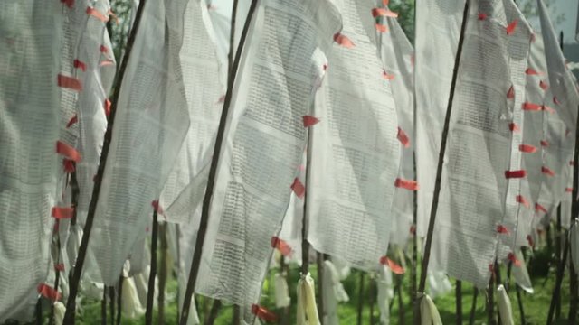 Many buddhist tibetan prayer flags, medium shot, shallow DOF