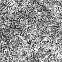 Black and white grunge texture. Chaotic monochrome background. Abstract vector surface