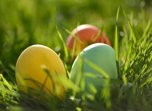 723 Meilleures Oeufs De Paques Images Photos Et Illustrations Vectorielles Stock Adobe Stock 723 Meilleures Oeufs De Paques Images Photos Et Illustrations Vectorielles Stock Adobe Stock