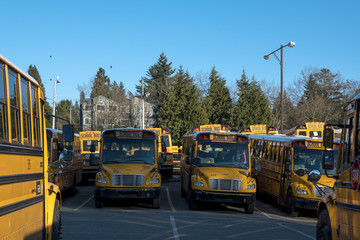 School bus lot #1