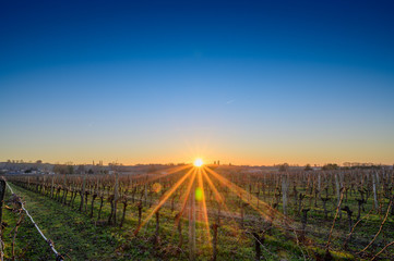 couché de soleil hivernal sur le vignoble bordelais