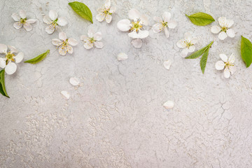 Obraz na płótnie Canvas Cherry blossom in spring for background, top view