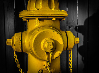 Closeup on a bright yellow fire hydrant in selective color against a wooden fence.