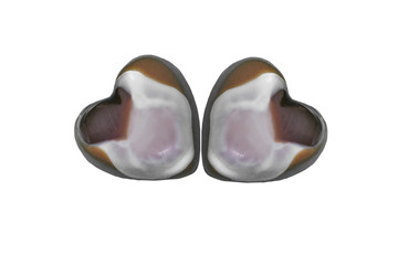 Two Heart shaped chocolate candies isolated on white