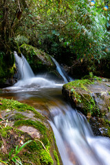 Obraz premium waterfall in forest