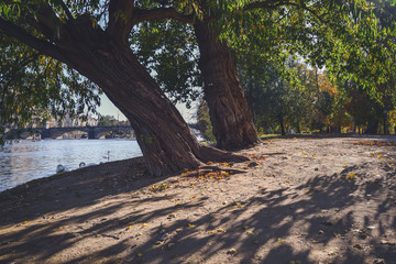 Autumn, Strelecky Island, Prague, Czech Republic