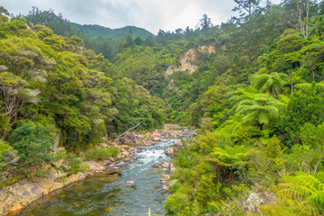 Fototapeta na wymiar Karangahake Gorge, New Zealand