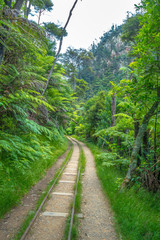 Obraz premium Old mine tracks at Karangahake Gorge, New Zealand