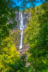 Wairere Falls seen through trees, New Zealand