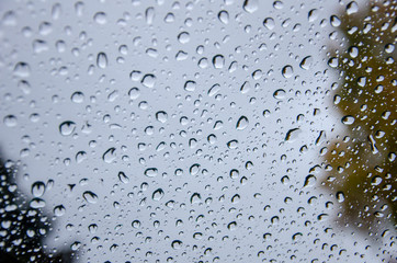raindrops on glass