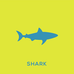 Shark vector icon, wild sea animal symbol. Trendy Flat style for graphic design, Web site, UI. EPS10. - Vector illustration