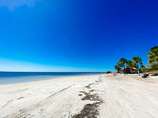 Florida palm harbor beach landscape