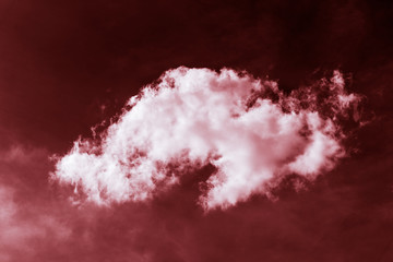 One white cloud in the sky in red tones