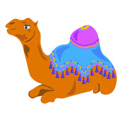 A pretty camel in a bright blanket