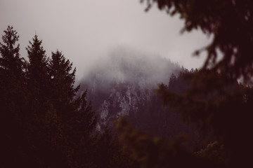 Nebel in den Bergen