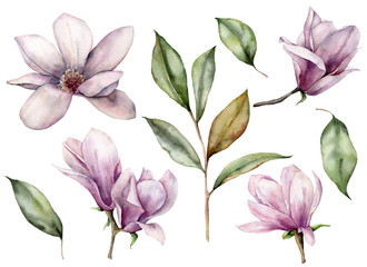 Watercolor floral set with bud and magnolias. Hand painted white and pink flowers, leaves isolated on white background. Spring illustration for design, print, fabric or background. - obrazy, fototapety, plakaty