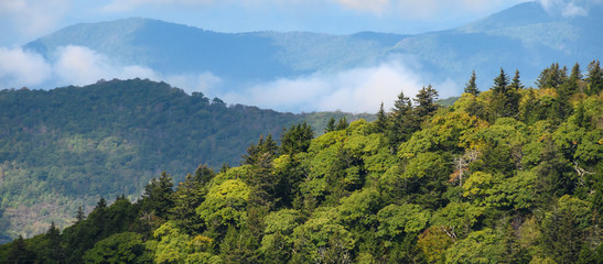 Fototapeta na wymiar Autumn in the Appalachian Mountains Viewed Along the Blue Ridge Parkway