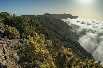 Old mountain rural trail in the mountains of the island . Evening clouds and fog crawling on the wooded hills in the background. Warm cozy evening in the mountains of the El Hierro Island, Spain