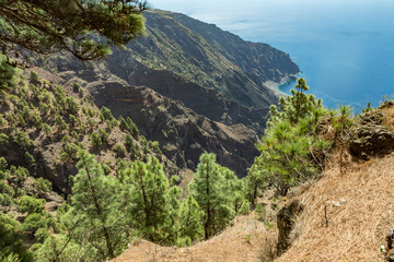 Naklejka premium Mirador de Las Playas located in pine tree forest on El Hierro island. Spectacular views from the point above the clouds. Canary islands, Spain