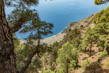 Fototapeta na wymiar Mirador de Las Playas located in pine tree forest on El Hierro island. Spectacular views from the point above the clouds. Canary islands, Spain