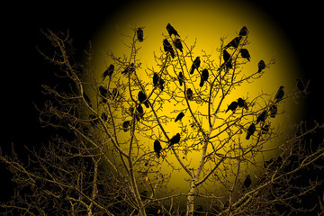 crows are sitting on a tree at the beginning of the ragnarok - obrazy, fototapety, plakaty