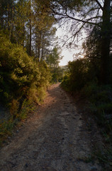 Fototapeta premium I walk on the mountain towards the light