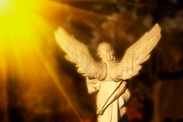 Antique statue: white angel  in the sunlight.