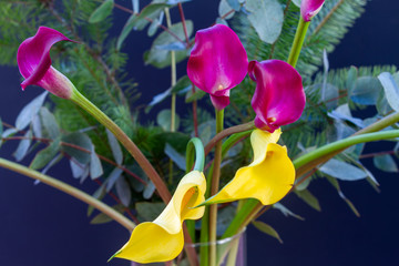 Boquet of calla lily