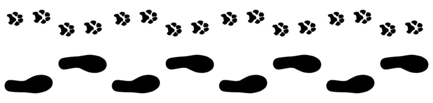 dog and human tracks going together straight silhouettes vector isolated on white background